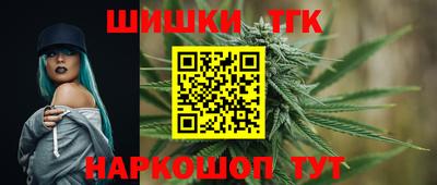 МДПВ Заводоуковск