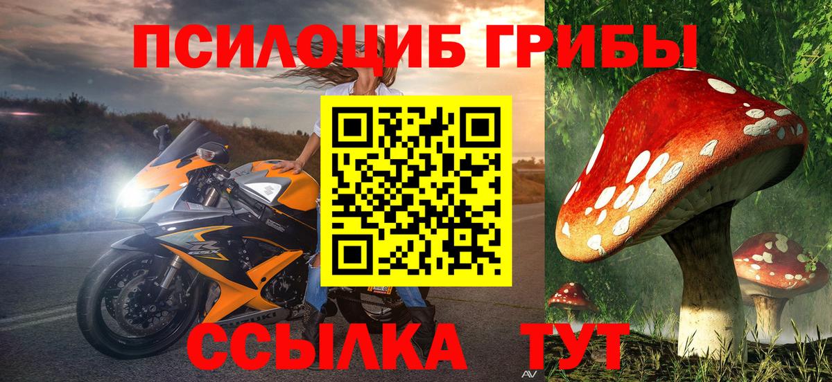 Галлюциногенные грибы прущие грибы  Вход с VPN  Галлюциногенные грибы Cubensis  Людиново 