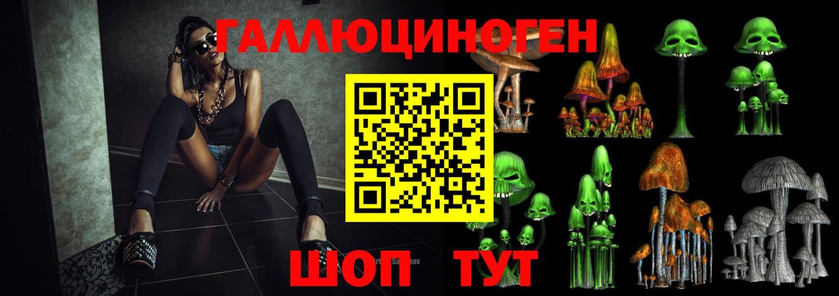 Псилоцибиновые грибы Cubensis Людиново
